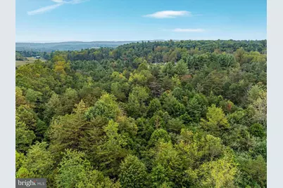 0 Dellinger Gap Rd, Edinburg, VA 22824 - Photo 11