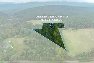 0 Dellinger Gap Rd, Edinburg, VA 22824 - Photo 1