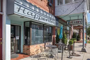 239 N Church St, Woodstock, VA 22664 - Photo 73