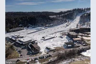 452 Spitz, Basye, VA 22810 - Photo 45