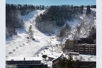 452 Spitz, Basye, VA 22810 - Photo 49