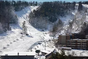 452 Spitz, Basye, VA 22810 - Photo 49