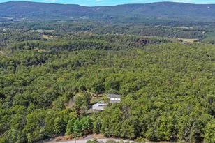 227 Mile Ridge Estates, Strasburg, VA 22641 - Photo 45