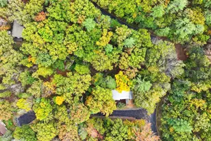 16 Spruce Hollow Rd, Basye, VA 22810 - Photo 47