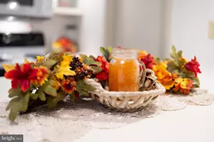 16 Spruce Hollow Rd, Basye, VA 22810 - Photo 25