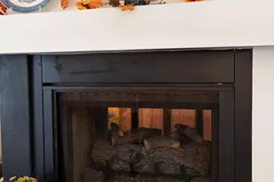 16 Spruce Hollow Rd, Basye, VA 22810 - Photo 19