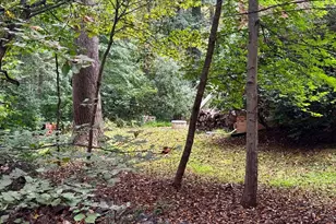 0 Mount Sinai Pointe, Fort Valley, VA 22652 - Photo 1