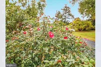 517 W Locust Street, Woodstock, VA 22664 - Photo 57