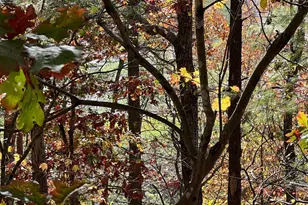 0 Brenda Ln, Basye, VA 22810 - Photo 1