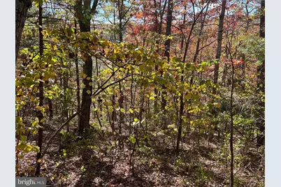 0 Brenda Lane, Basye, VA 22810 - Photo 3