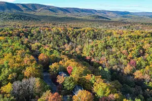 547 King St, Basye, VA 22810 - Photo 51