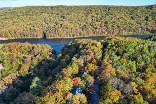 547 King St, Basye, VA 22810 - Photo 49