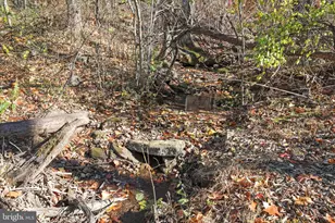 799 Stephens Ln, Fort Valley, VA 22652 - Photo 37