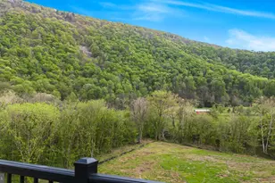 628 Black Bear Rd, Maurertown, VA 22644 - Photo 3