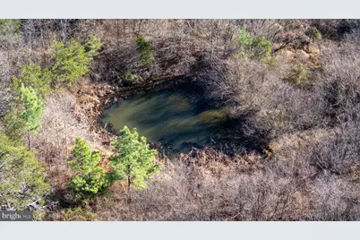 Dellinger Gap Road, Edinburg, VA 22824 - Photo 7