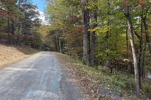 Susan Rd, Mount Jackson, VA 22842 - Photo 1