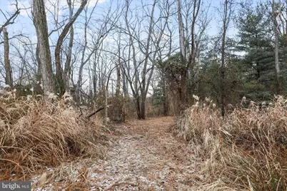 717 W Locust Street, Woodstock, VA 22664 - Photo 65