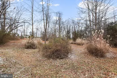 717 W Locust Street, Woodstock, VA 22664 - Photo 63