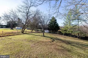 539 Lupton Rd, Woodstock, VA 22664 - Photo 53