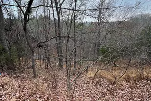 0 Hampton St, Basye, VA 22810 - Photo 1