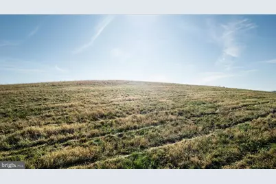 0 Orkney Grade, Mount Jackson, VA 22842 - Photo 3