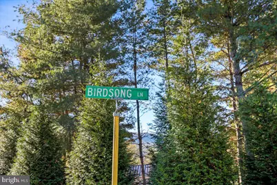 40 Birdsong Lane, Edinburg, VA 22824 - Photo 49