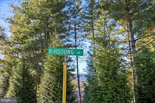 40 Birdsong Ln, Edinburg, VA 22824 - Photo 49