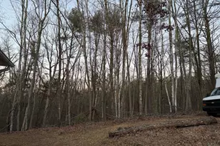 359 Straton Way, Basye, VA 22810 - Photo 37