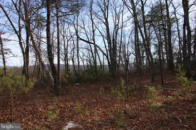 John Marshall Highway, Strasburg, VA 22657 - Photo 15