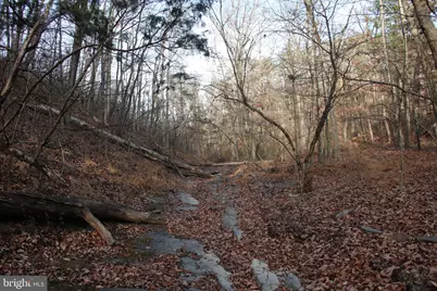 John Marshall Highway, Strasburg, VA 22657 - Photo 5