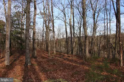 John Marshall Highway, Strasburg, VA 22657 - Photo 17