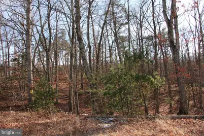 John Marshall Highway, Strasburg, VA 22657 - Photo 31