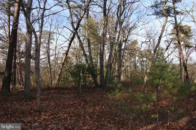 John Marshall Highway, Strasburg, VA 22657 - Photo 21