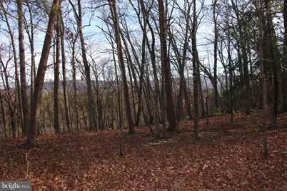 John Marshall Highway, Strasburg, VA 22657 - Photo 23