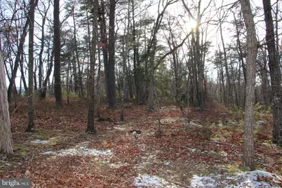 John Marshall Highway, Strasburg, VA 22657 - Photo 11