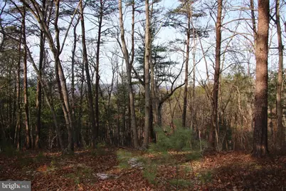 John Marshall Highway, Strasburg, VA 22657 - Photo 19