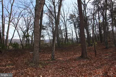 John Marshall Highway, Strasburg, VA 22657 - Photo 13