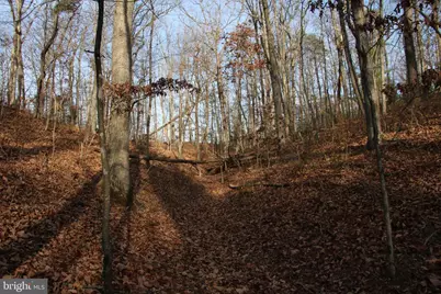 John Marshall Highway, Strasburg, VA 22657 - Photo 7