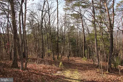 John Marshall Highway, Strasburg, VA 22657 - Photo 27