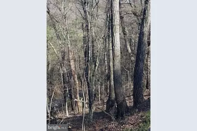 00 Lee Road, Basye, VA 22810 - Photo 3