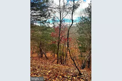 King Street, Basye, VA 22810 - Photo 3