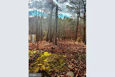 King Street, Basye, VA 22810 - Photo 9