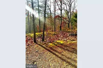 King Street, Basye, VA 22810 - Photo 13