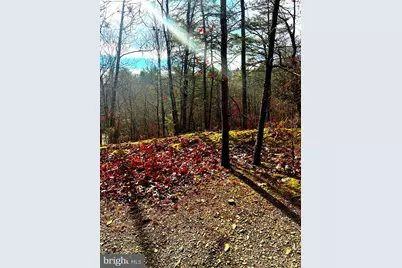 King Street, Basye, VA 22810 - Photo 1