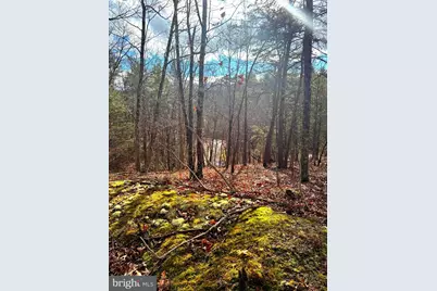 King Street, Basye, VA 22810 - Photo 9