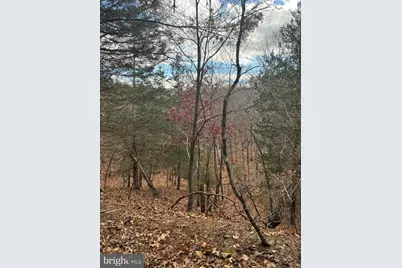 King Street, Basye, VA 22810 - Photo 5