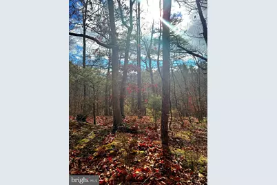 King Street, Basye, VA 22810 - Photo 7