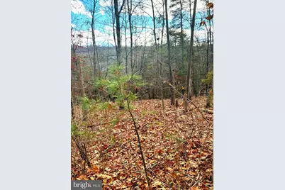 Spitz Lane, Basye, VA 22810 - Photo 9