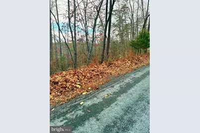 Spitz Lane, Basye, VA 22810 - Photo 3