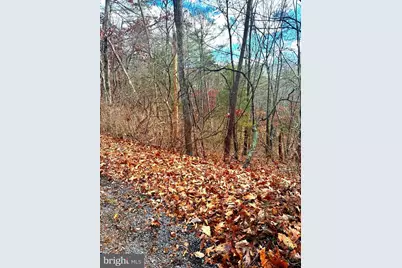 Spitz Lane, Basye, VA 22810 - Photo 7